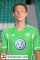 Aleksander Hleb - Wolfsburg new player